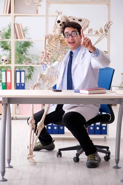 Gek professor bestudeert menselijk skelet — Stockfoto