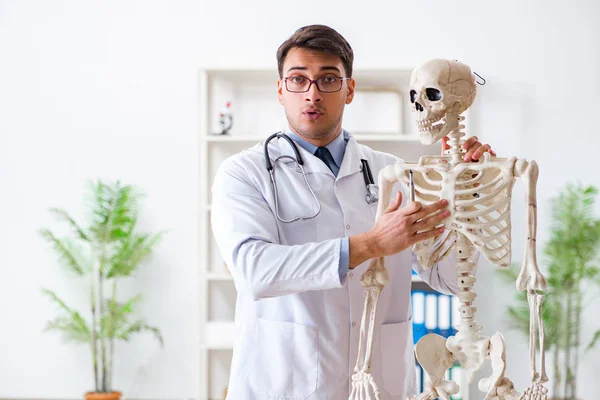 Yong male doctor with skeleton isolated on white — Stock Photo, Image