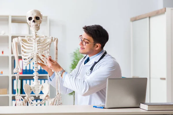 Yong médico masculino con esqueleto aislado en blanco —  Fotos de Stock