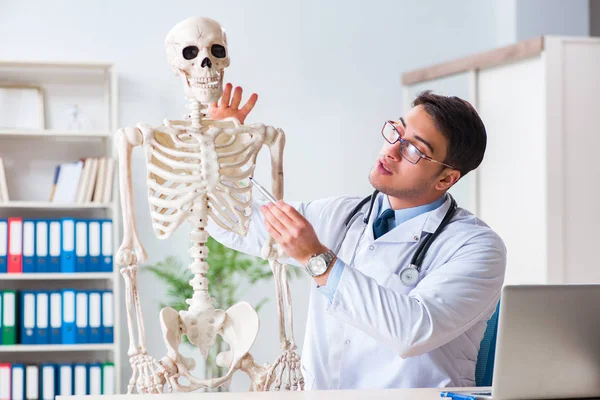Yong mannelijke arts met skelet geïsoleerd op wit — Stockfoto