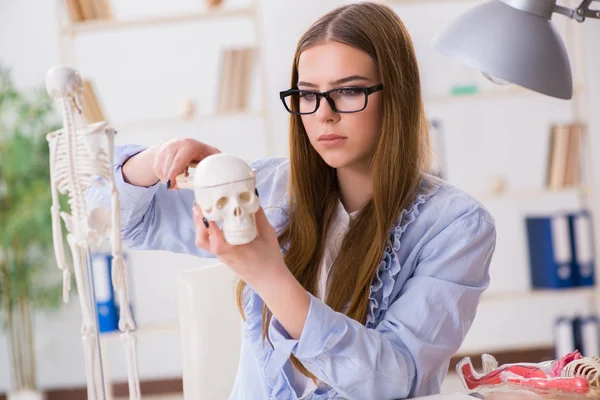 Student sedí ve třídě a studuje kostru — Stock fotografie