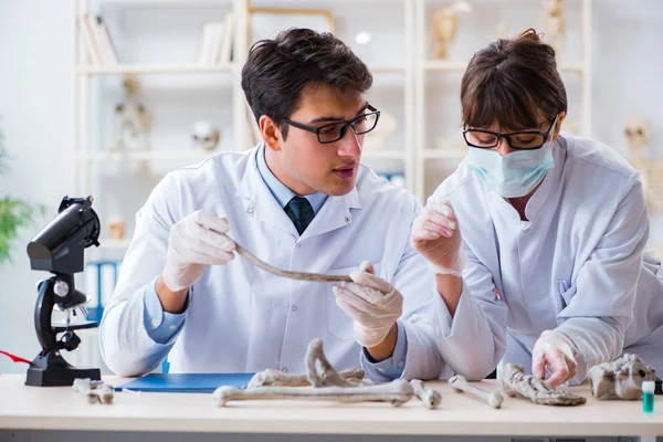 Profesor estudiando esqueleto humano en laboratorio — Foto de Stock