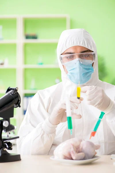 Lab assistant testing GMO chicken