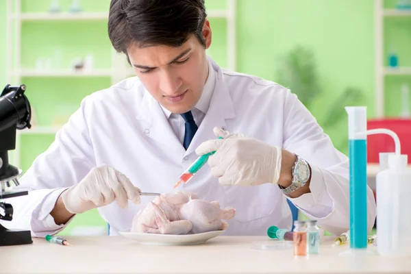 Asistente de laboratorio probando pollo transgénico — Foto de Stock