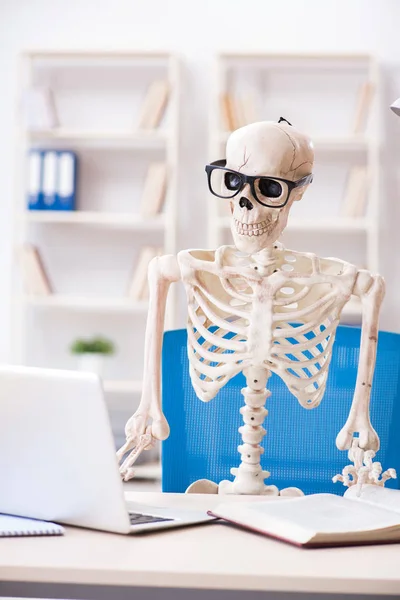 Skeleton businessman working in the office — Stock Photo, Image