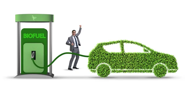 Concept of bio fuel and ecology preservation — Stock Photo, Image