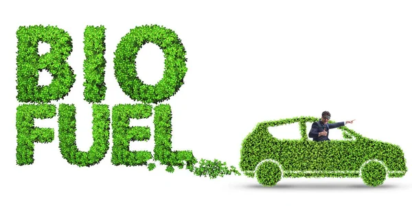 Concept of bio fuel and ecology preservation — Stock Image Concept of bio fuel and ecology preservation Royalty Free Stock Images
