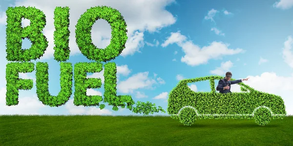 Concept of bio fuel and ecology preservation — Stock Image Concept of bio fuel and ecology preservation Stock Picture
