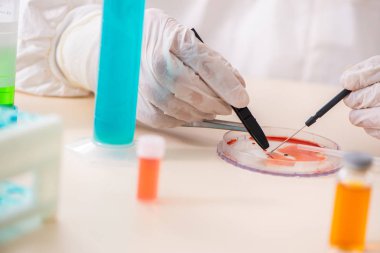 Laboratuvarda yeni bir deney üzerinde çalışan kimyager.