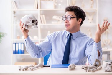 Komik çılgın profesör insan iskeletini inceliyor.
