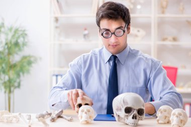 Komik çılgın profesör insan iskeletini inceliyor.