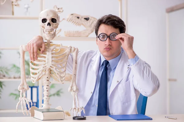 Crazy professor studying human skeleton — Stock Photo, Image