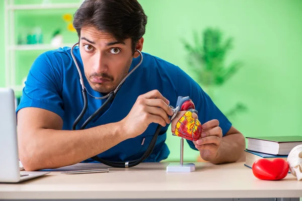 Estudante médico explicando problemas cardíacos — Fotografia de Stock