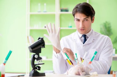 Laboratuvar asistanı GDO tavuğunu test ediyor