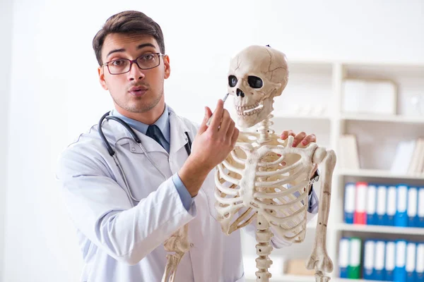 Yong manliga läkare med skelett isolerat på vitt — Stockfoto