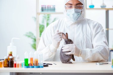 Bilim adamı hayvan tavşanı üzerinde test yapıyor.