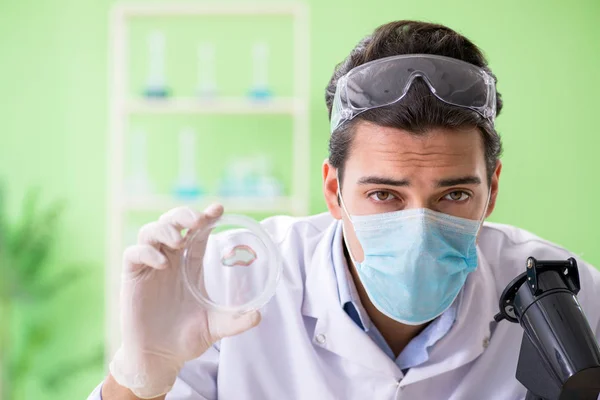 Man chemicus werkt in het lab — Stockfoto