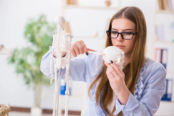 Student sitting in classroom and studying skeleton — Stock Photo, Image