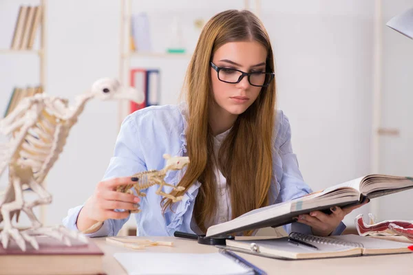 Studenten die dierenskelet onderzoeken in de klas — Stockfoto