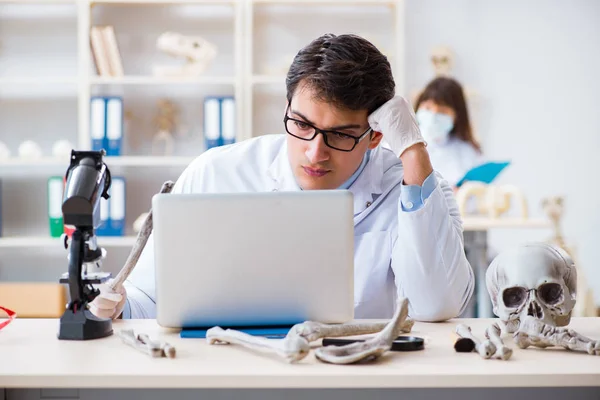 Profesor estudiando esqueleto humano en laboratorio —  Fotos de Stock