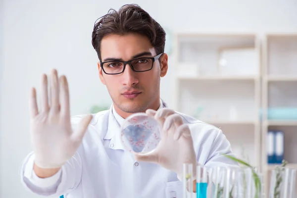 Biotechnologie wetenschapper chemicus werkzaam in het lab — Stockfoto