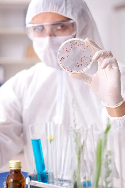 Вчений-біотехнолог хімік, що працює в лабораторії — стокове фото