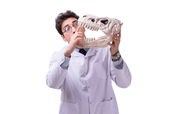 Grappige gekke professor paleontoloog bestudeert dierlijke skeletten i — Stockfoto