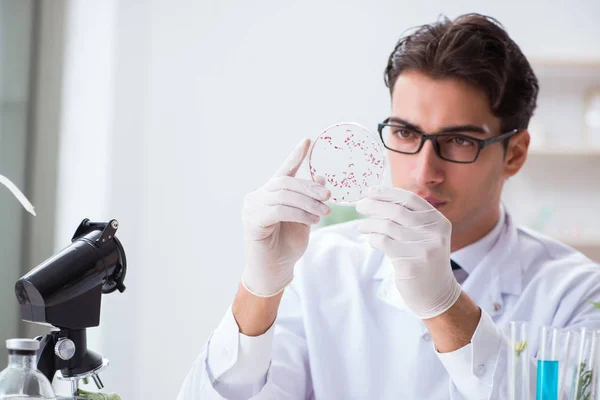 Biotechnologie wetenschapper chemicus werkzaam in het lab — Stockfoto