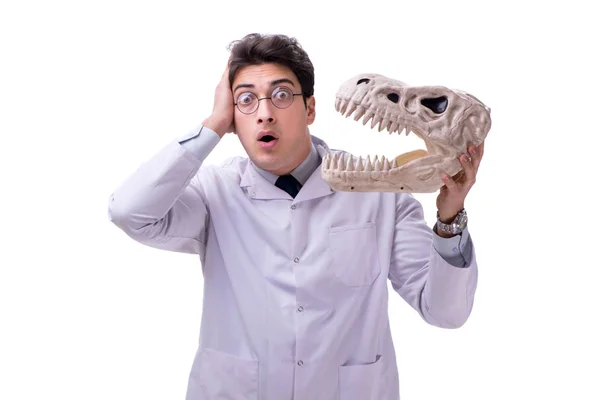 Grappige gekke professor paleontoloog bestudeert dierlijke skeletten i — Stockfoto