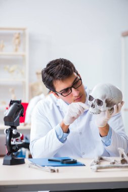 Profesör laboratuvarda insan iskeletini inceliyor.