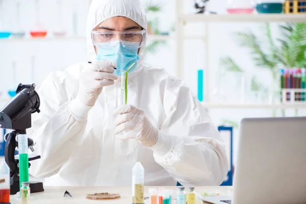 Мужской биохимик, работающий в лаборатории по растениям — стоковое фото