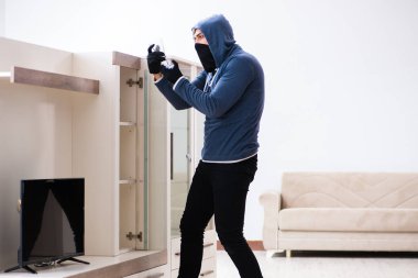Hırsız evden televizyon çalıyor.