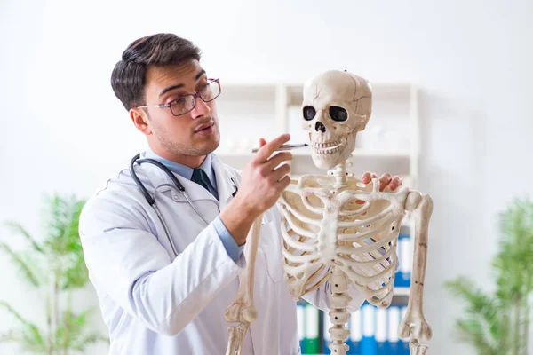 Yong male doctor with skeleton isolated on white — Stock Photo, Image