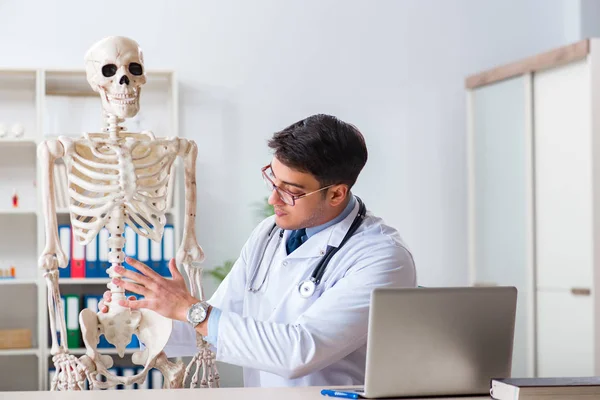 Yong mužský lékař s kostrou izolované na bílém — Stock fotografie