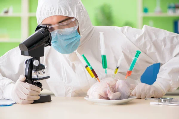 Laborassistentin testet GVO-Hühner — Stockfoto