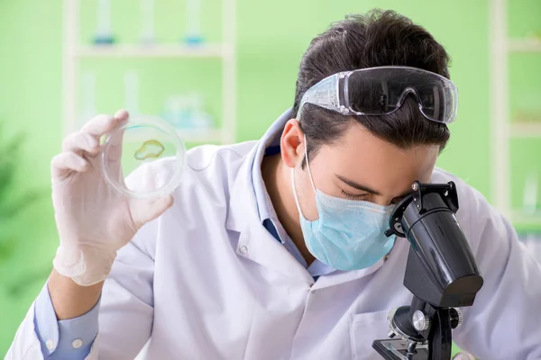 Man chemicus werkt in het lab — Stockfoto