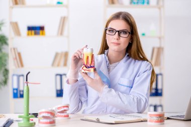 Diş hekimliği öğrencisi sınıfta pratik yapıyor.