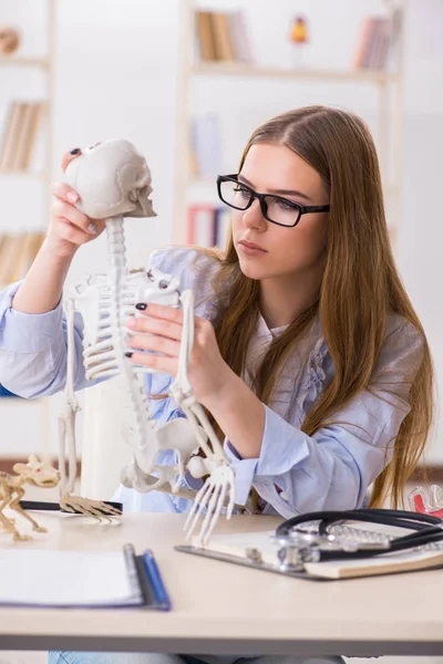 Estudante sentado em sala de aula e estudando esqueleto — Fotografia de Stock