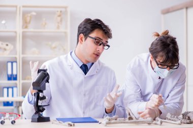 Profesör laboratuvarda insan iskeletini inceliyor.