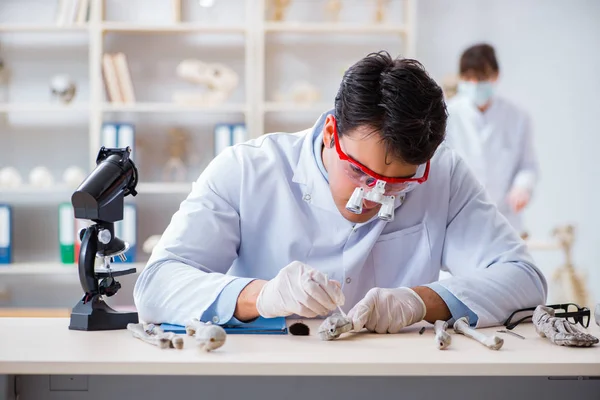 Professor estudando esqueleto humano em laboratório — Fotografia de Stock