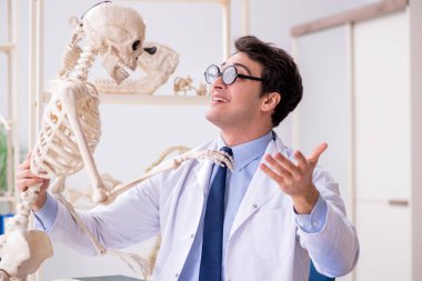 Çılgın profesör insan iskeleti üzerinde çalışıyor.