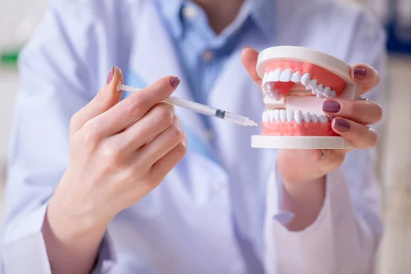 Woman dentist practicing work on tooth model — Stock Photo, Image