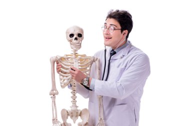 Beyaz izole iskelet ile genç doktor