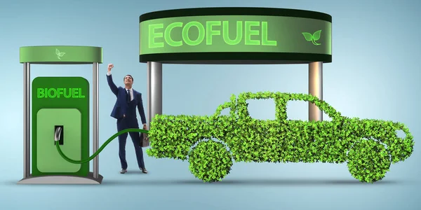 Concept de biocarburant et préservation de l'écologie — Photo