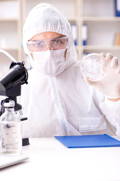 Biotecnología científico químico trabajando en laboratorio —  Fotos de Stock