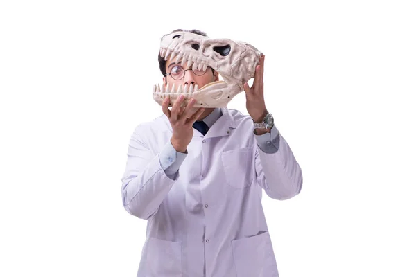 Zabawny szalony profesor paleontolog studiuje szkielety zwierząt i — Zdjęcie stockowe