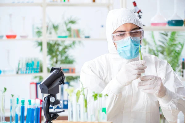 Bioquímico masculino trabajando en el laboratorio de plantas —  Fotos de Stock