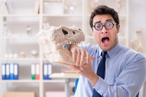 Divertido profesor loco estudiando esqueleto de dinosaurio — Foto de Stock