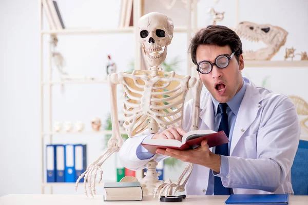 Gek professor bestudeert menselijk skelet — Stockfoto