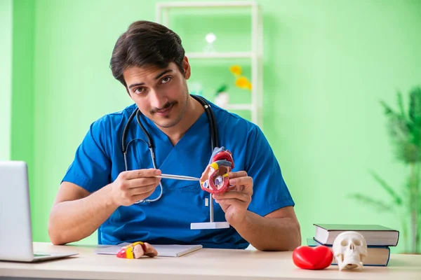 Estudante médico explicando problemas cardíacos — Fotografia de Stock